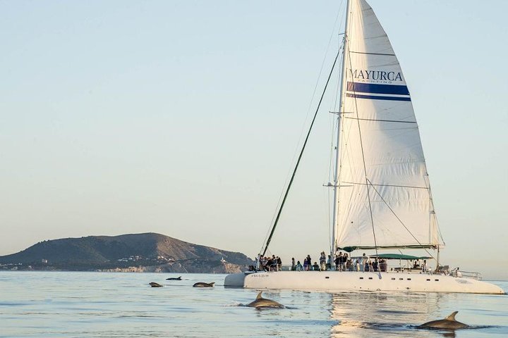 Tagesausflug mit dem Katamaran: Cap des Freus und Naturpark Llevant