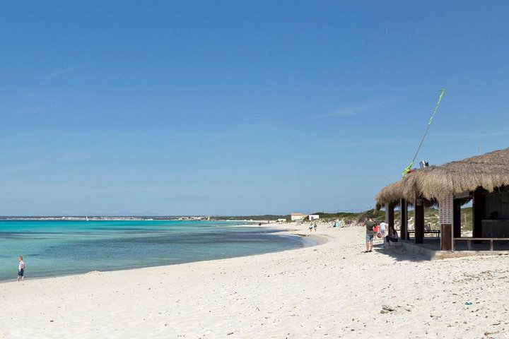Tour di un giorno alla spiaggia di Maiorca Es Trenc con prelievo dall'hotel