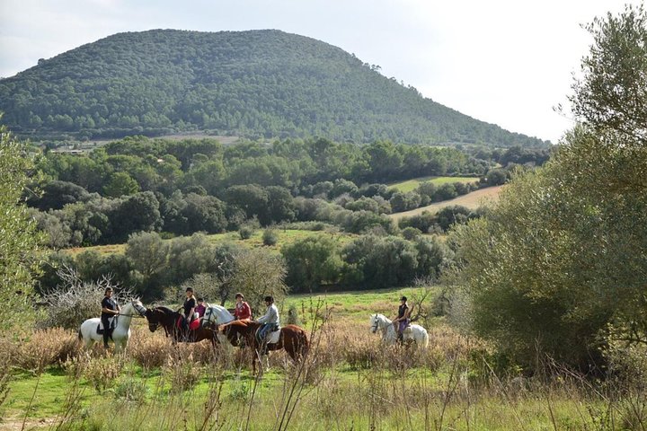 Equitazione a Randa, Maiorca, Spagna