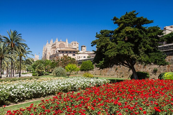 Besuchen Sie Palma und Valldemossa