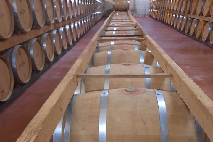 Bodega Tour XL Mallorca inkl. 3x Wine Tasting Pickup Südwestküste
