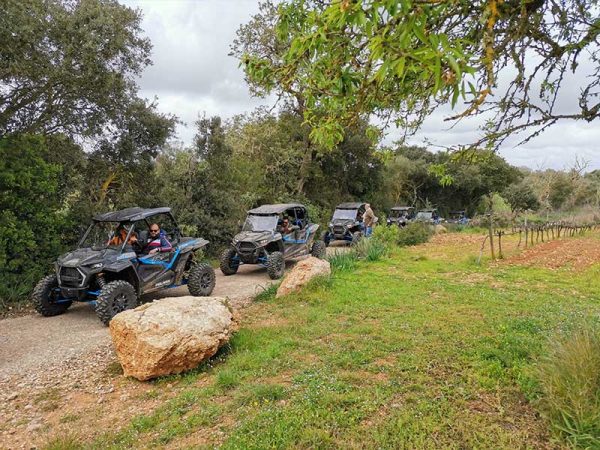 Adventure Tours Mallorca S.L.