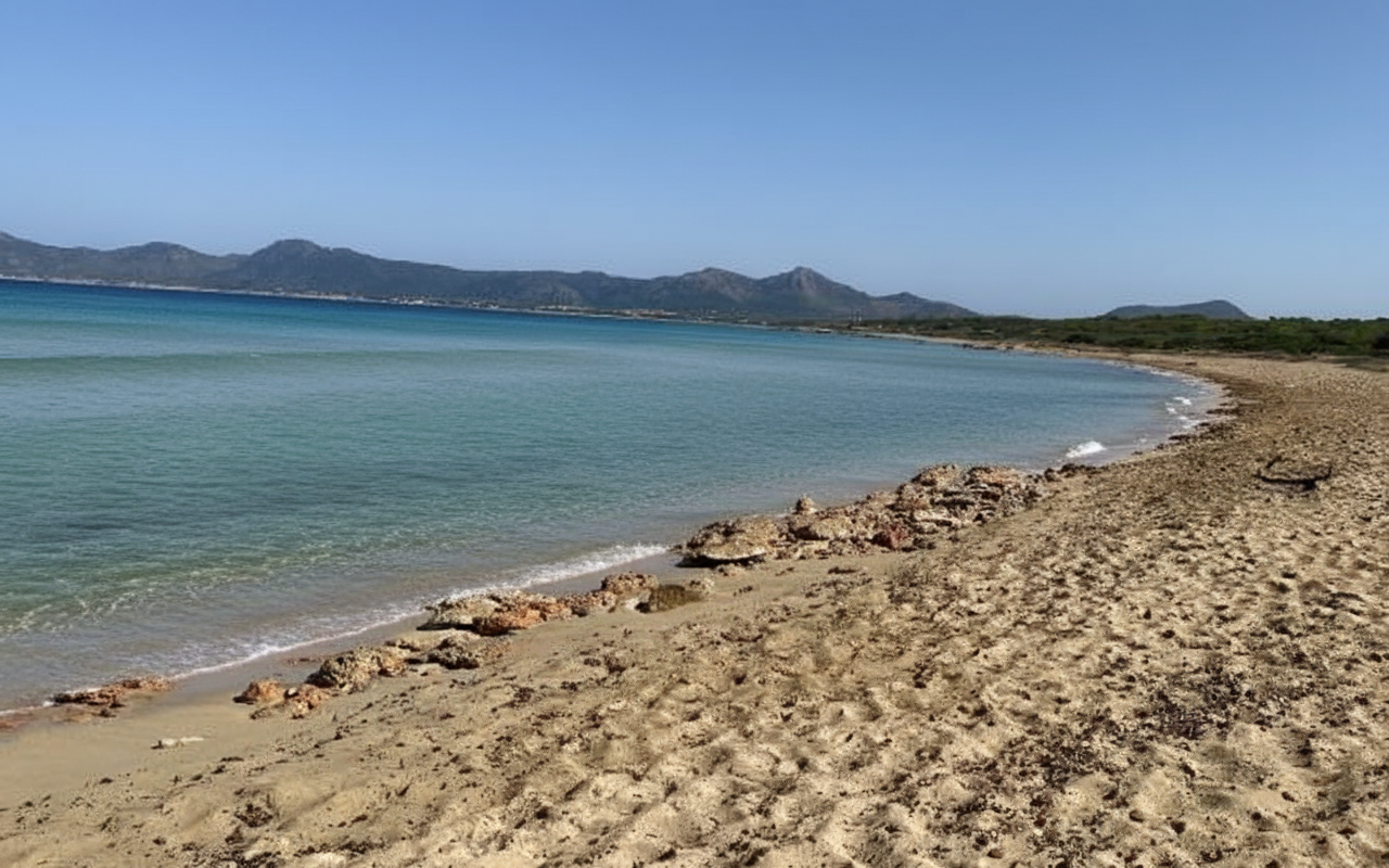 Cala de ses Assussenes