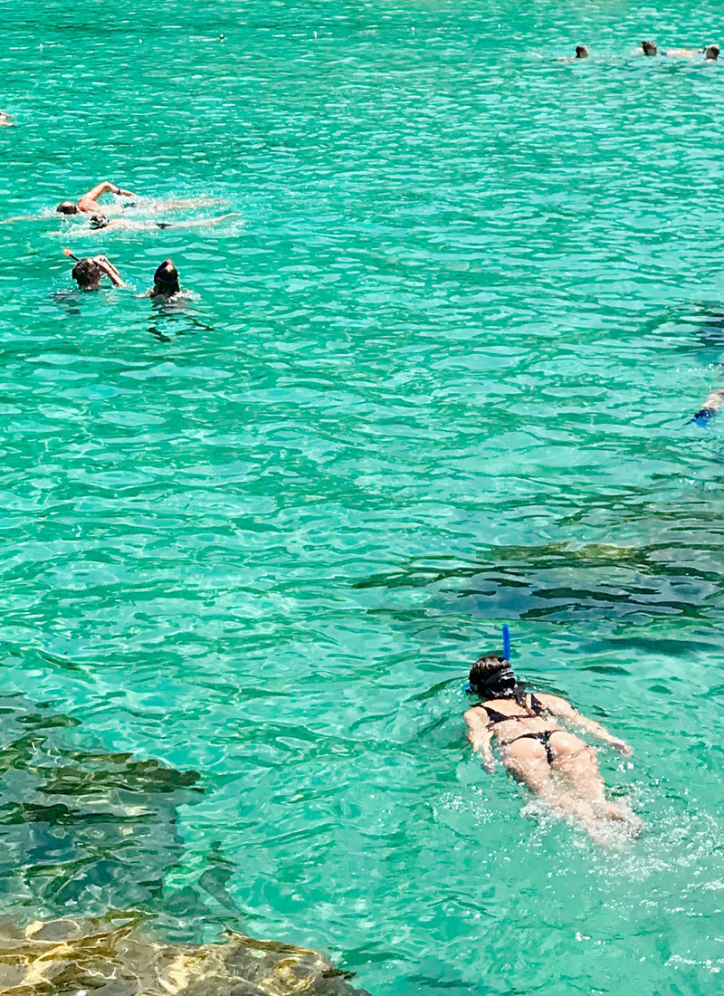Cruise Cormoran (Cruceros Cormoran) 