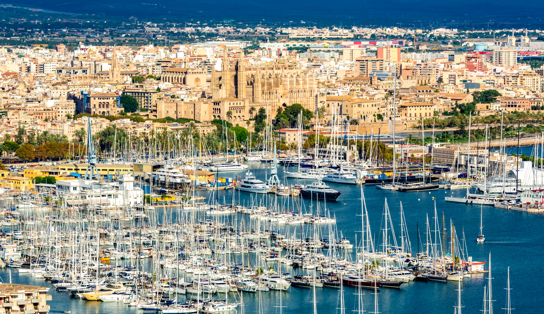 Marina Port de Mallorca 