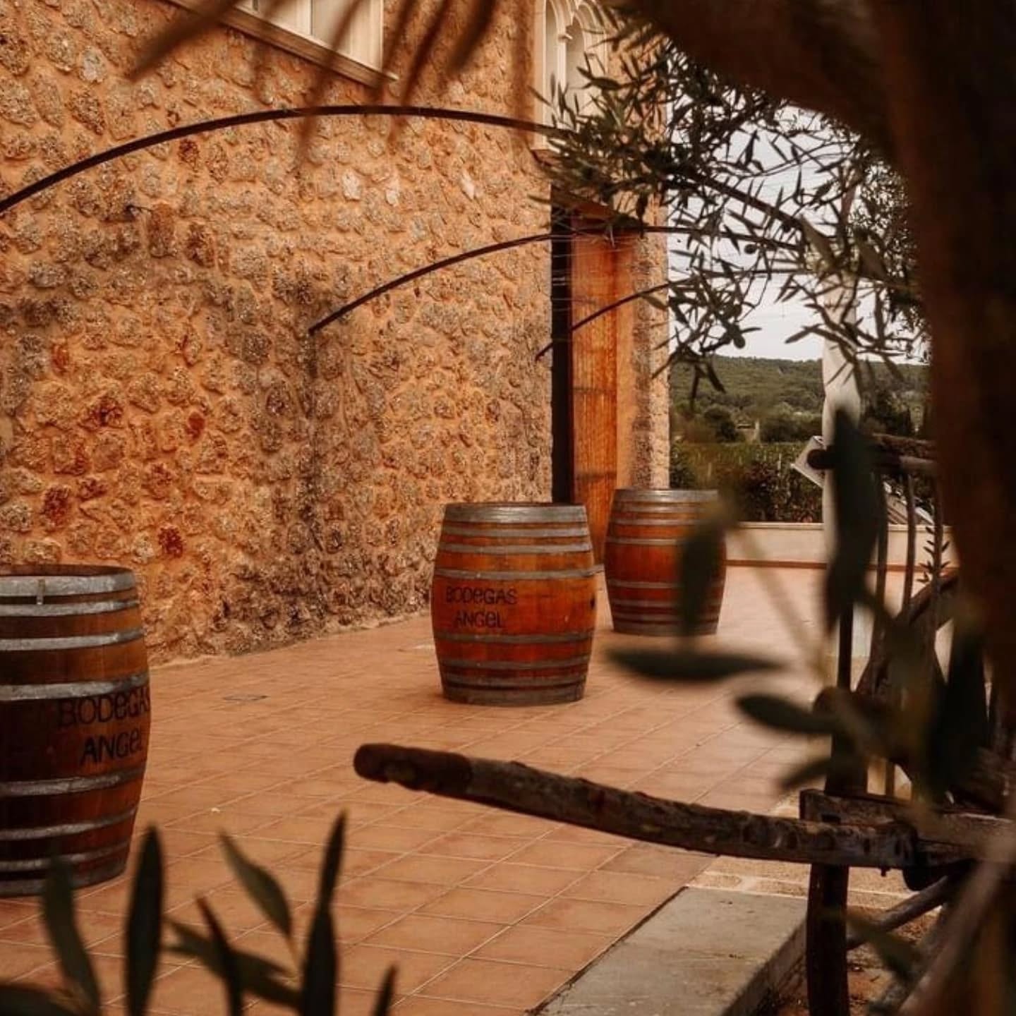 Joe Pommer - Vinosenz